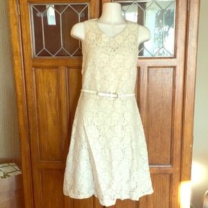 Ivory tan lace dress w/gold thread 6 The Limited